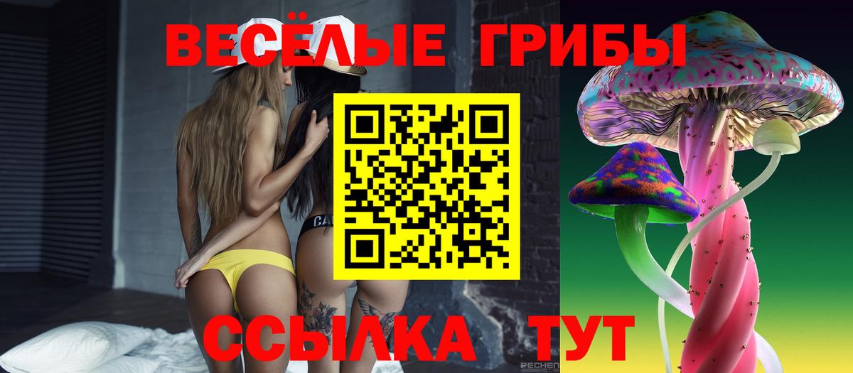 Галлюциногенные грибы Magic Shrooms  купить  цена  Кирово-Чепецк  Псилоцибиновые грибы MAGIC MUSHROOMS  Вход с VPN 