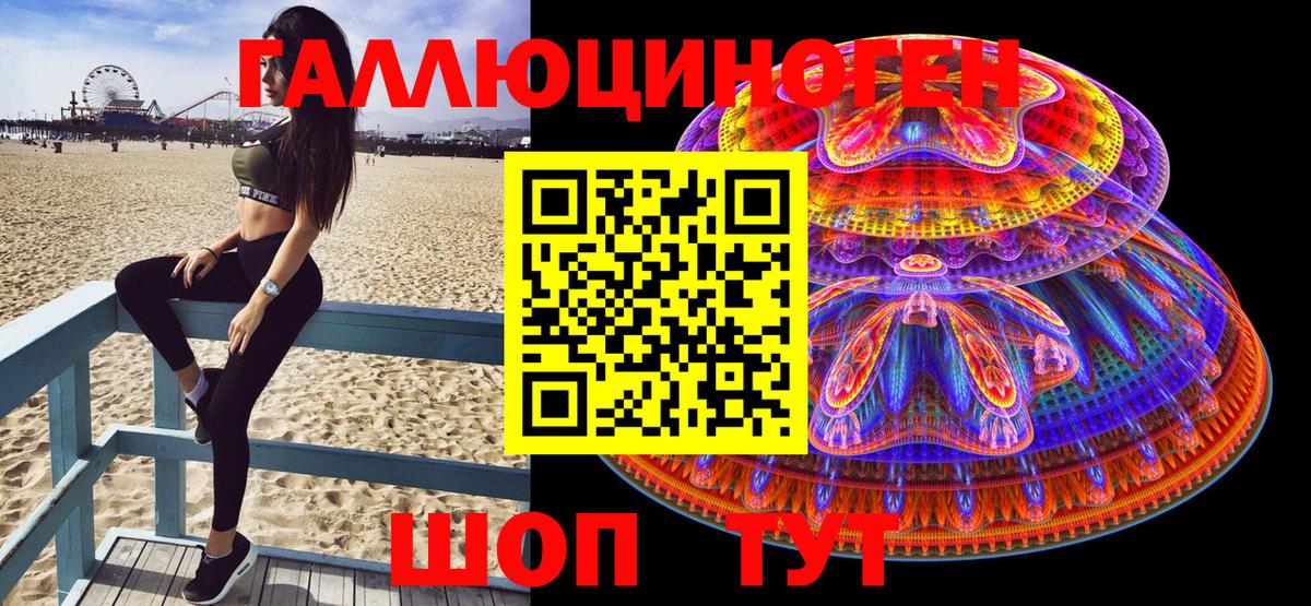Псилоцибиновые грибы Psilocybe Кирово-Чепецк